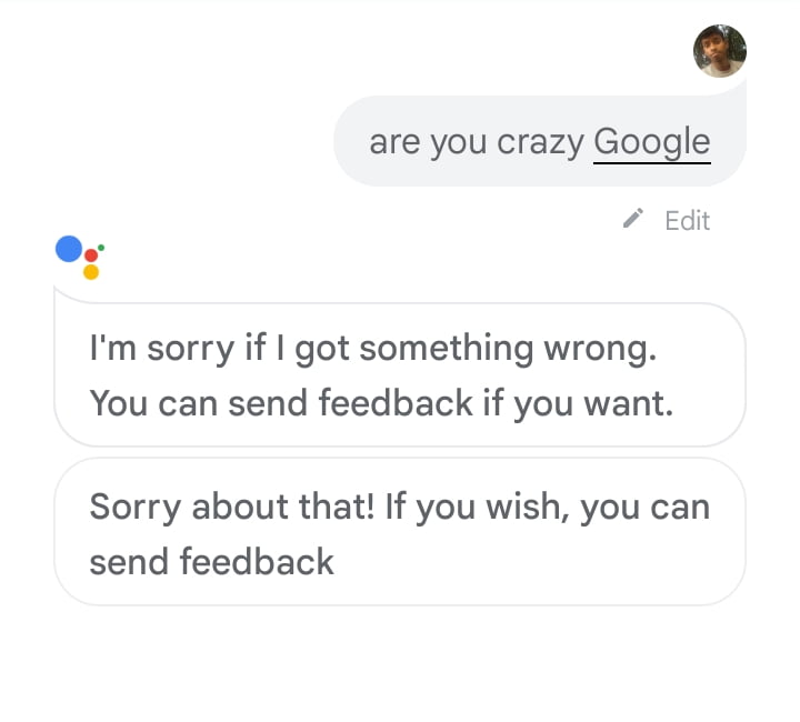 Are You Crazy Google