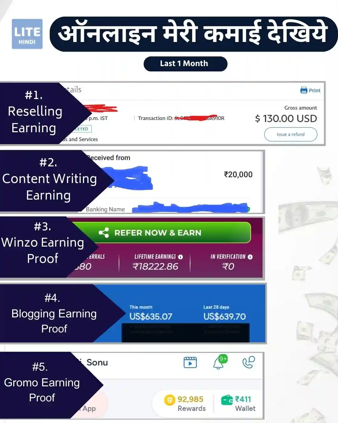 LiteHindi Blog के मालिक ऑनलाइन कितना पैसा कमाते हैं ?